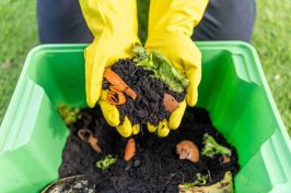 Garden waste tips